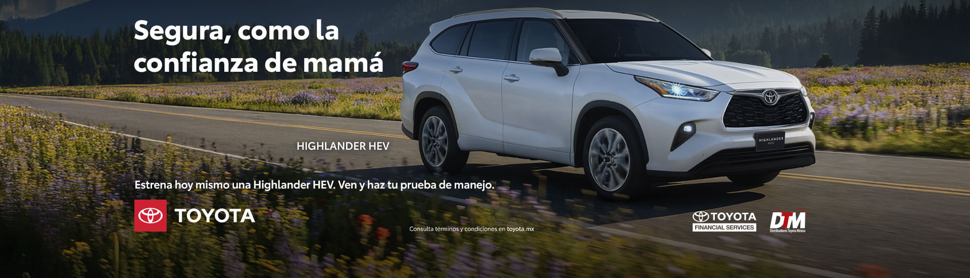 promocion